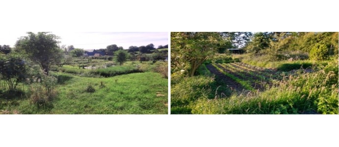 2024 - Le chemin de plus en plus sinueux